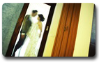 Aonang Phu Petra Resort Krabi /Wedding